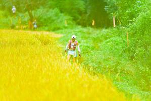 BIB: 
                            <button type="button" onclick="openModal(13455447)" class="btn btn-primary btn-sm float-right btn-popup" data-toggle="modal" data-target=".modal-high-quality">
                        <i class="fas fa-shopping-cart"></i> Add to Cart
                    </button>
                                            <button type="button" onclick="isThisMe(13455447, true)" class="btn btn-success btn-sm float-right btn-popup btn-isme hidden" data-toggle="tooltip" data-placement="bottom" title="นี่คือรูปของคุณใช่ไหม คลิกที่นี่เพื่อเอาเข้าอัลบั้ม">
                        <i class="fas fa-plus"></i> Add to album
                    </button>
                    <button type="button" onclick="isThisMe(13455447, false)" class="btn btn-warning btn-sm float-right btn-popup btn-isnotme hidden">
                        <i class="fas fa-ban"></i> Remove from album
                    </button>